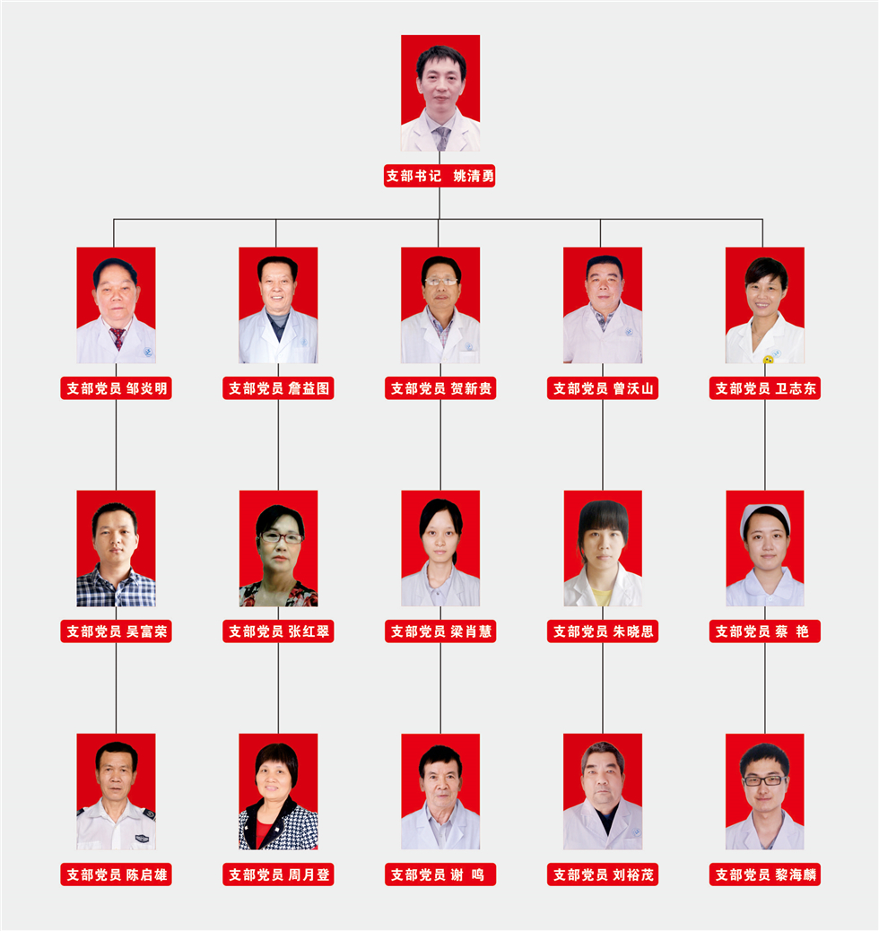 党支部组织架构 党支部组织架构 organizational structure of party